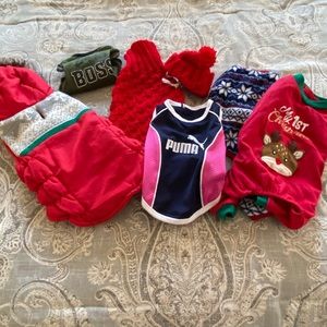 Dog clothes size small ( up to 10lbs)